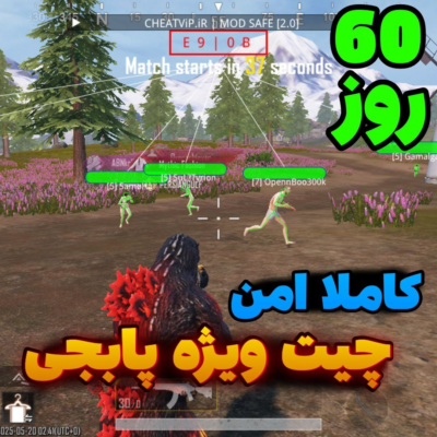 چیت ویژه پابجی ( 60 روز )
