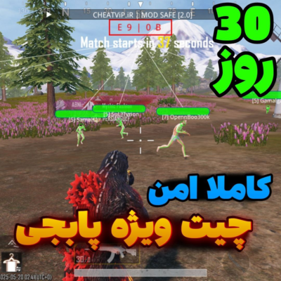 چیت ویژه پابجی ( 30 روز )