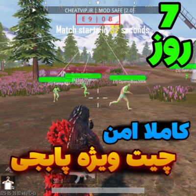 چیت ویژه پابجی ( 7 روز )