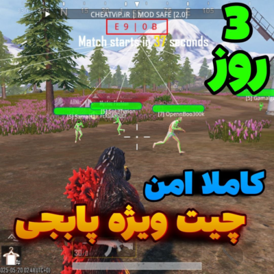 چیت ویژه پابجی ( 3 روز )
